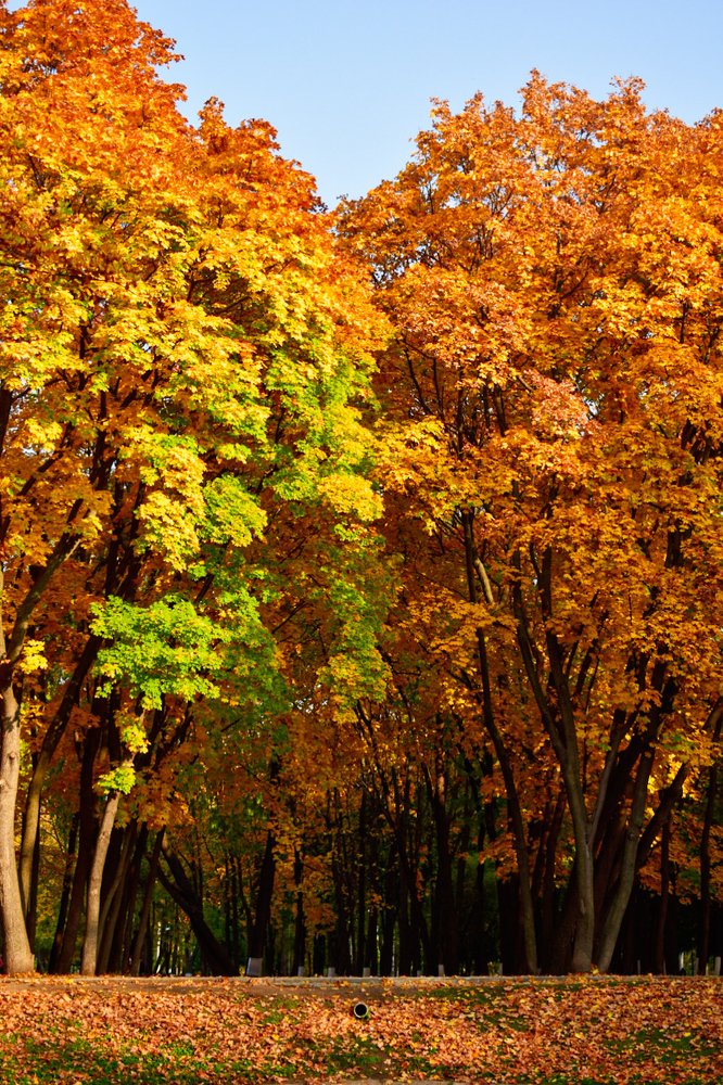 Photograph by Mаша Бакулина