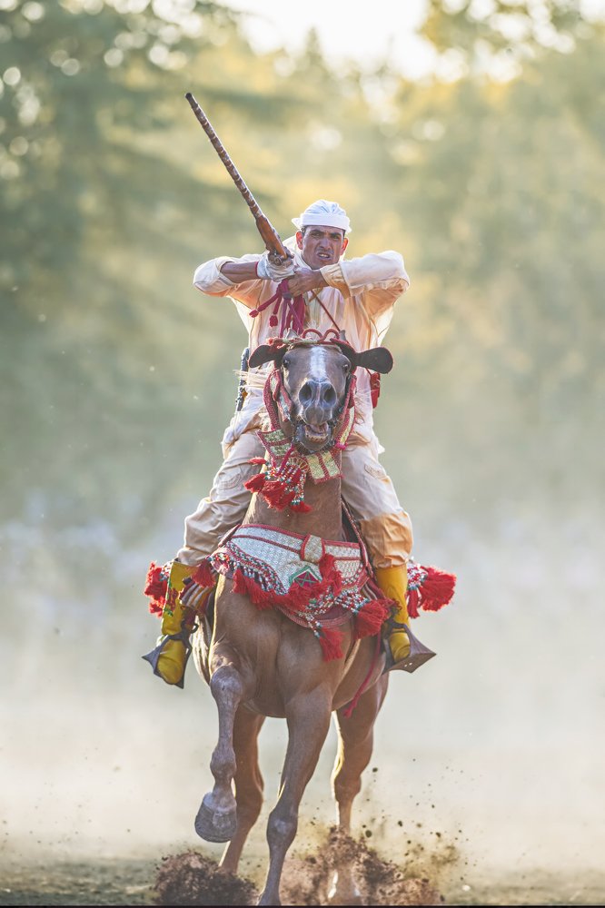 Фотография автора Mehdi EL Baqali