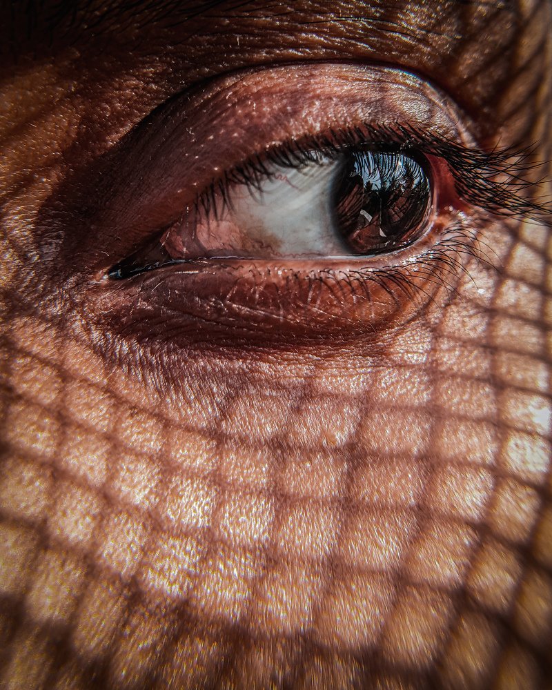 Eyes from inside the window