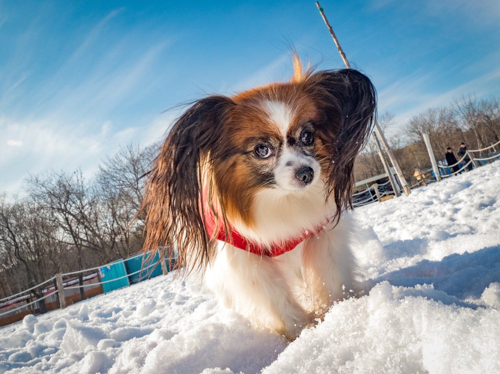 Photograph by Матвей Матвеев