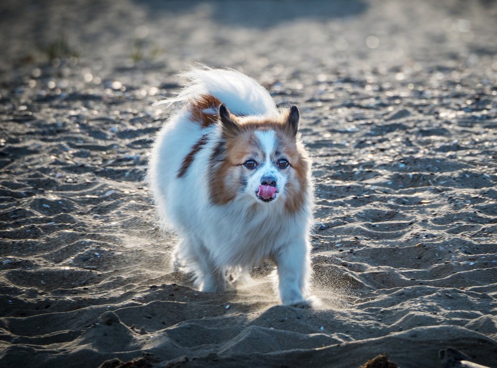 Photograph by Матвей Матвеев