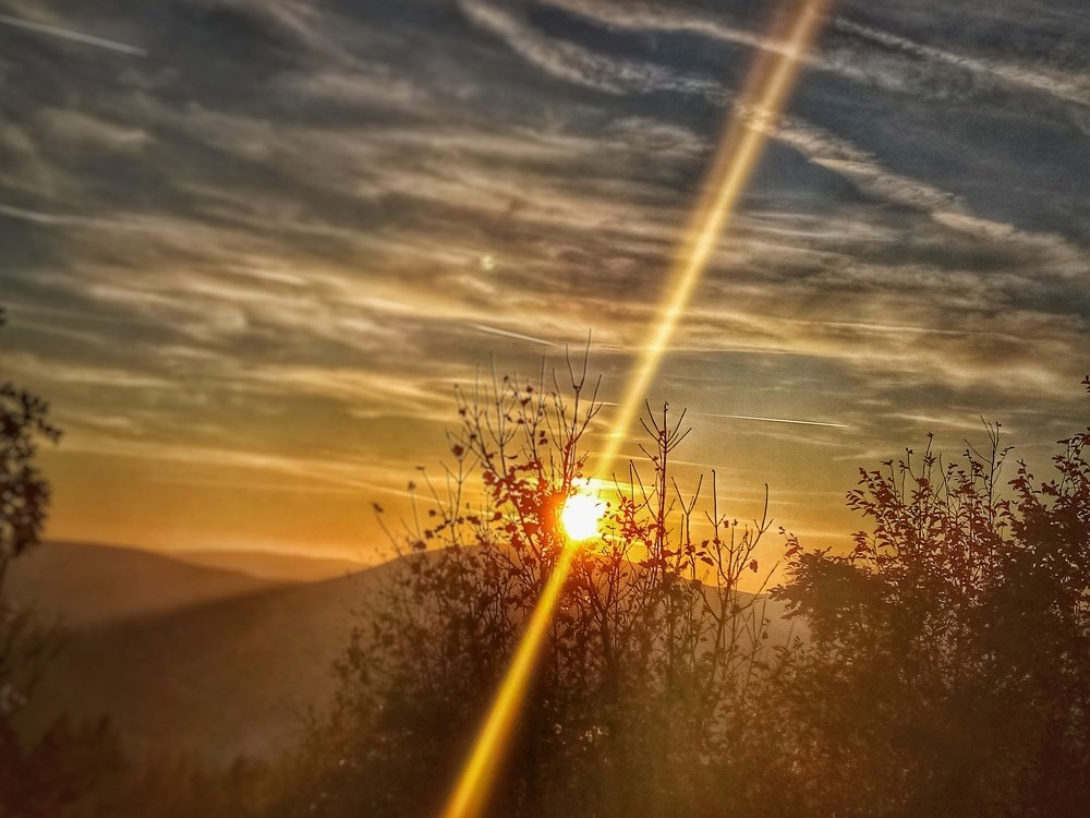 Photo #5347479
