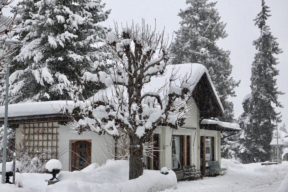 Photograph by Наталья Пирогова