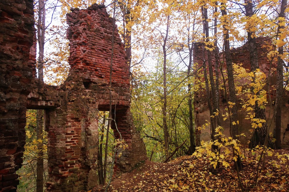 Photograph by Людмила Казак