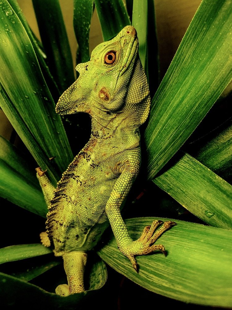 Photograph by Сергей Марченков