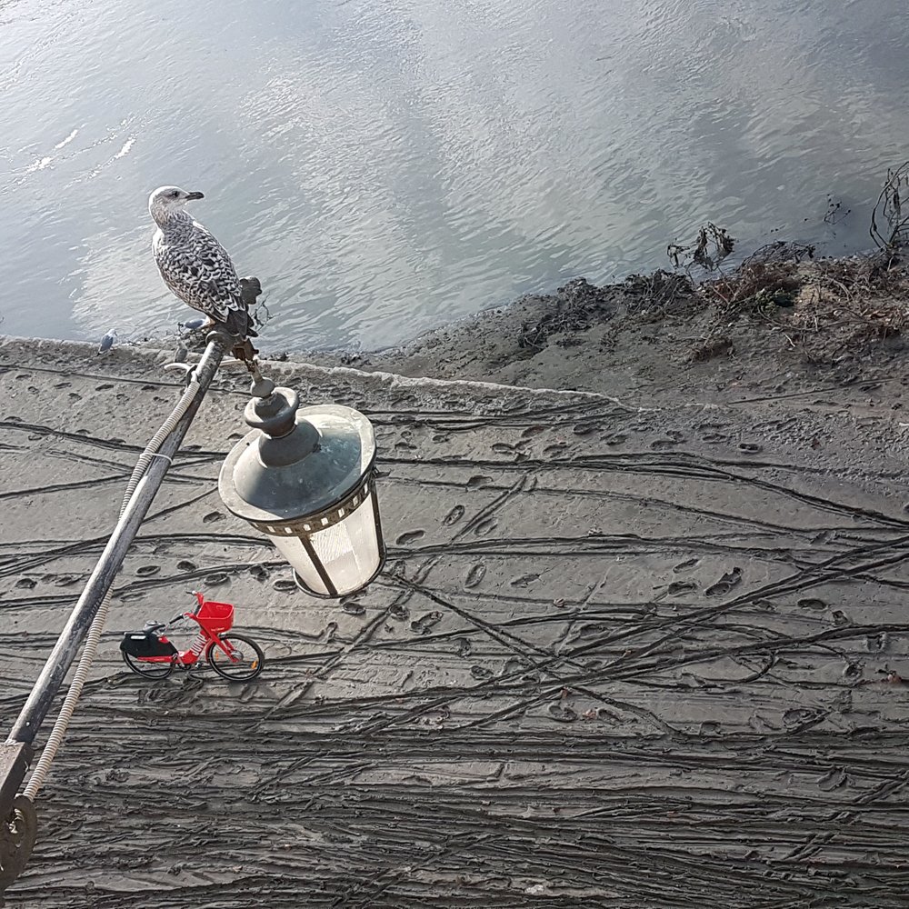 Photograph by Antonella Martino