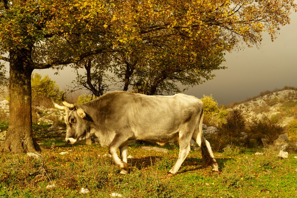 Фотография автора Нина Кулишова