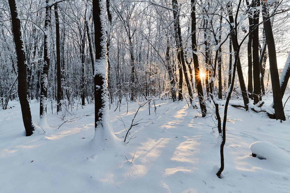 Photograph by Дмитрий Лепаков