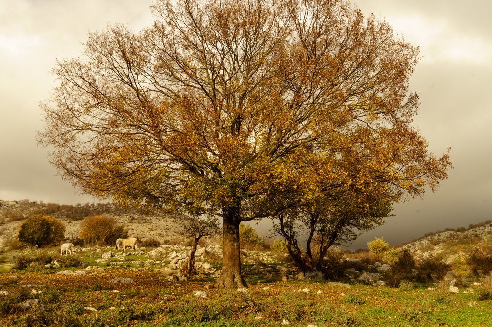 Фотография автора Нина Кулишова