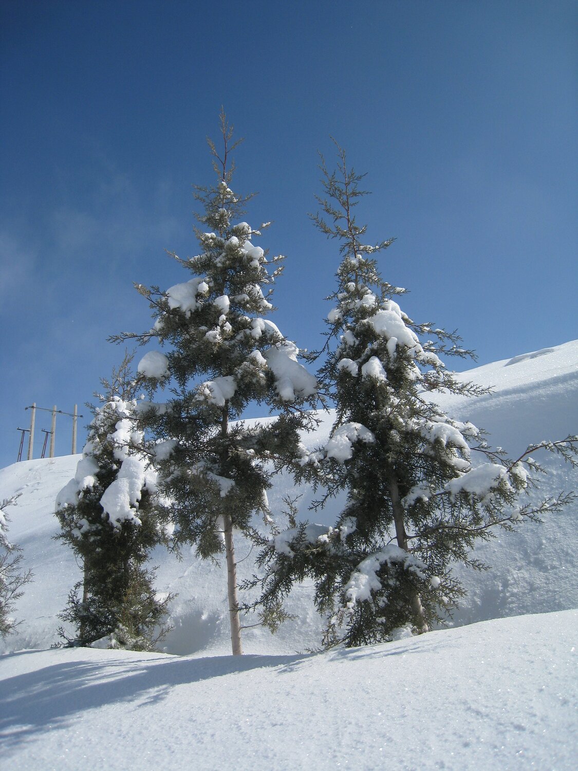 Photo #5347701
