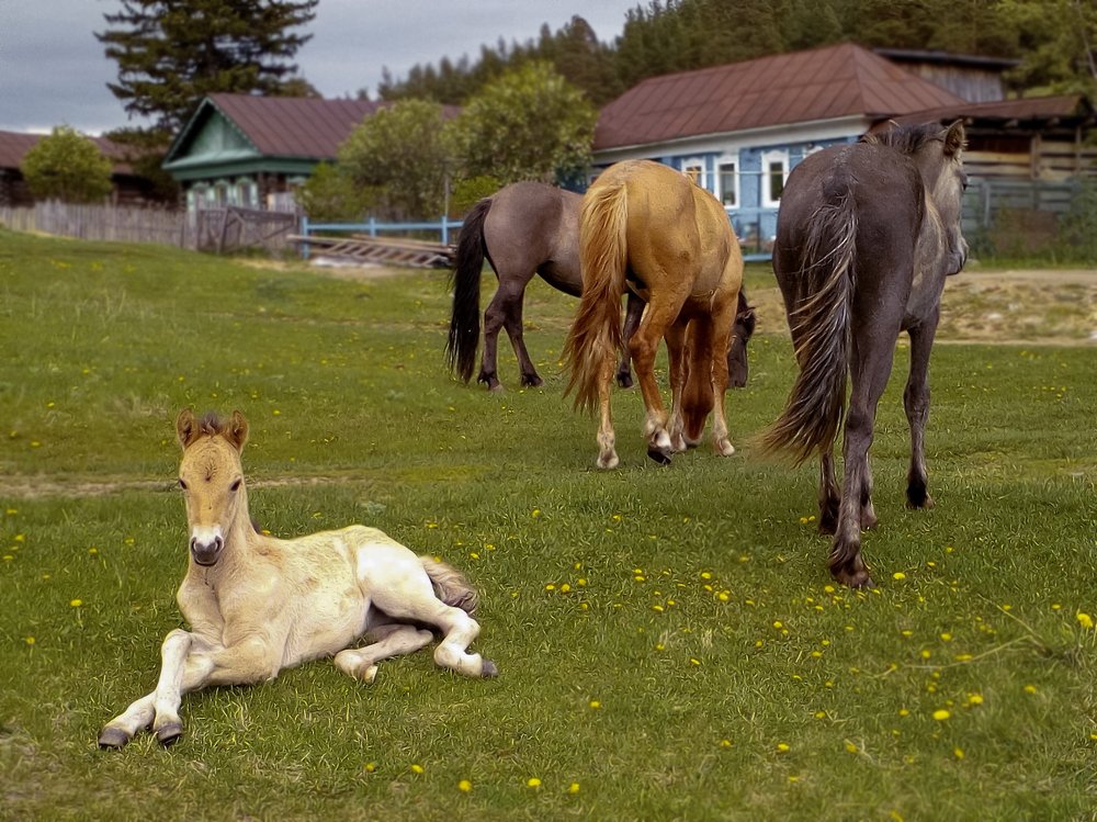 Photograph by Светлана Лехмус