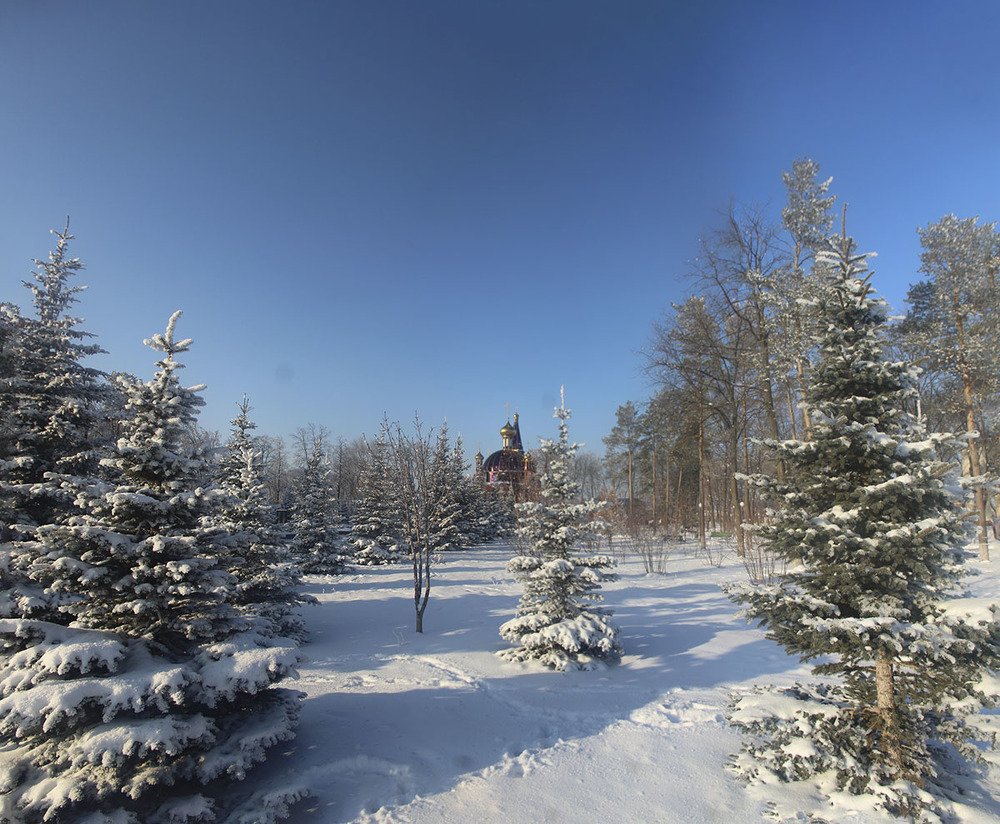 Photograph by Elena Khalizova