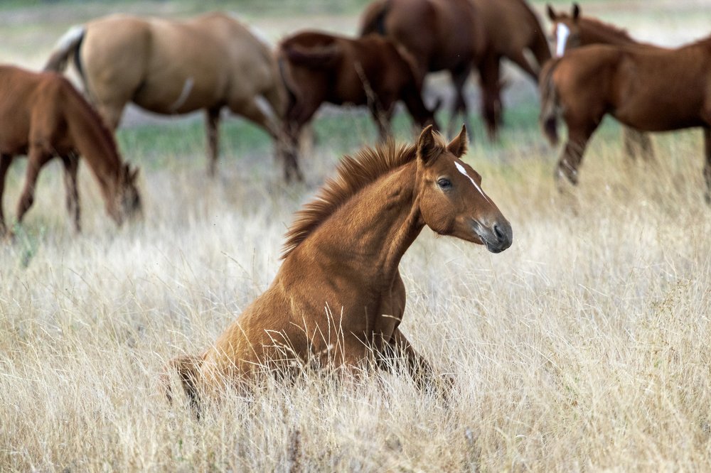 Photograph by Константин Кукушкин