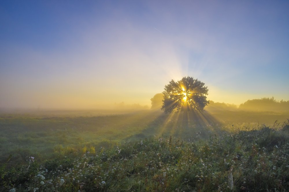 Photograph by Igor Andreev