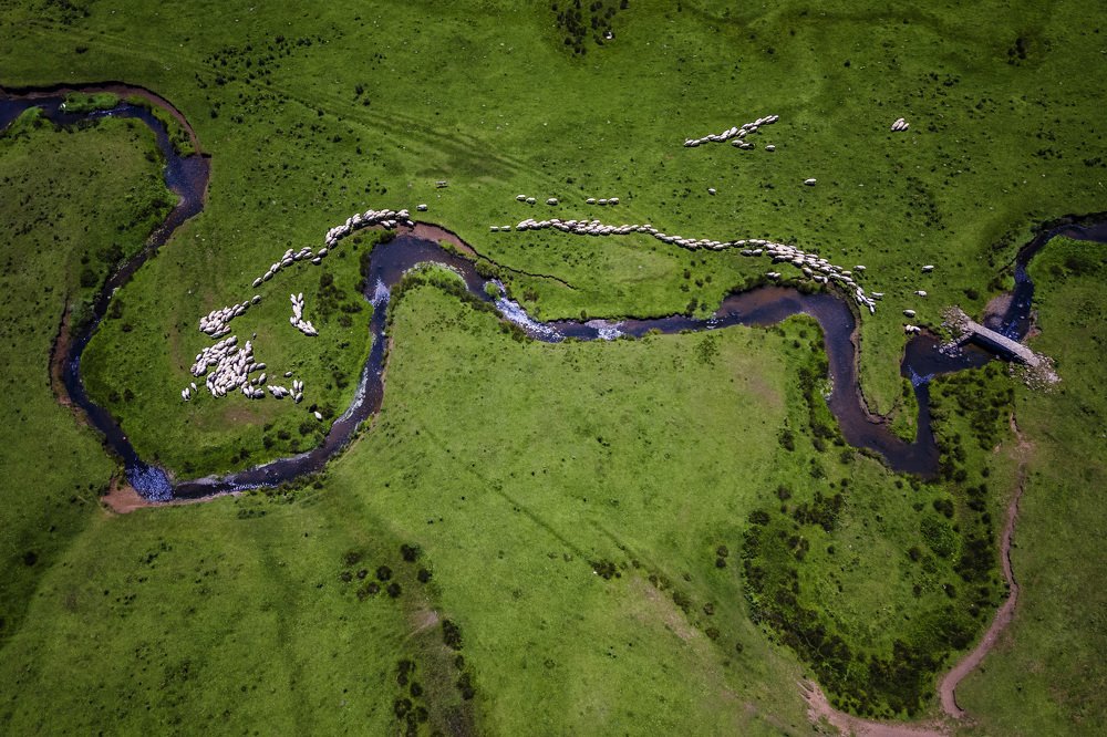 Photograph by Filiz CAGLAR