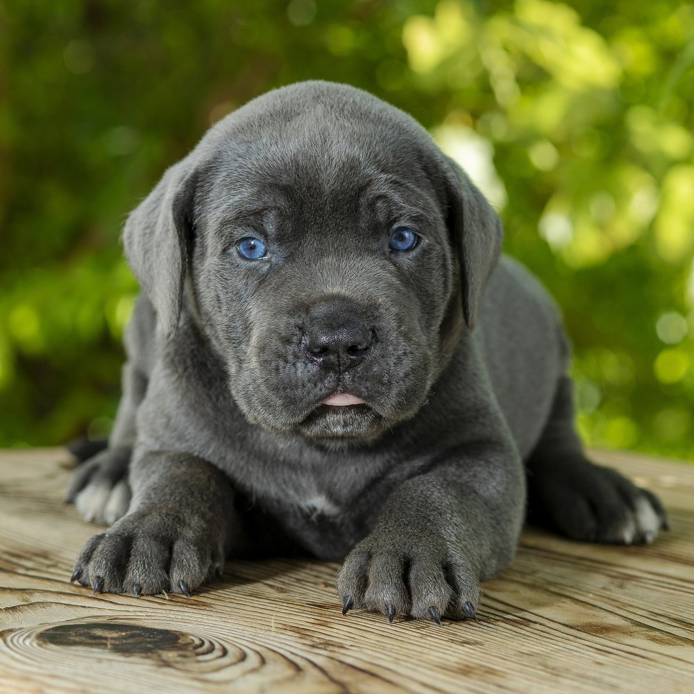 Photograph by AYKUT SEVINC