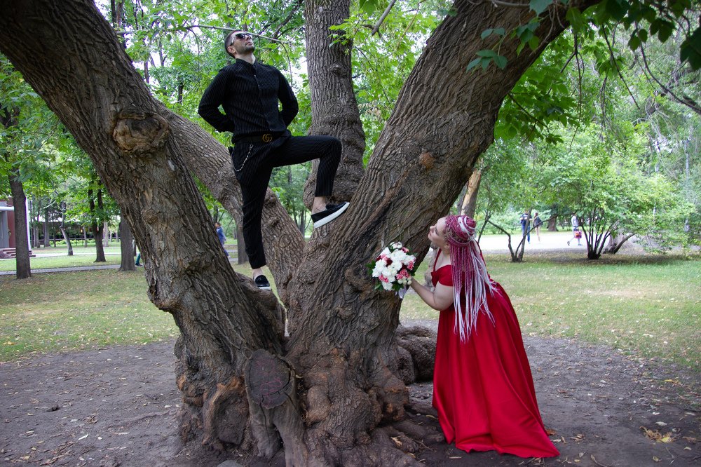 Фотография автора Алексей Новиков