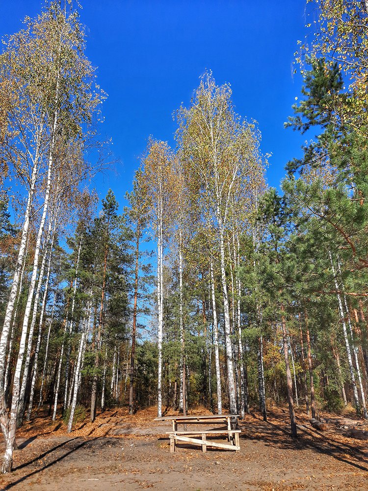 Photograph by Михаил Рассказ