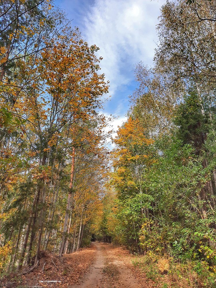 Photograph by Михаил Рассказ