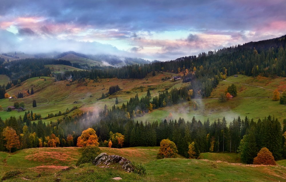 Photograph by Elena Wymann