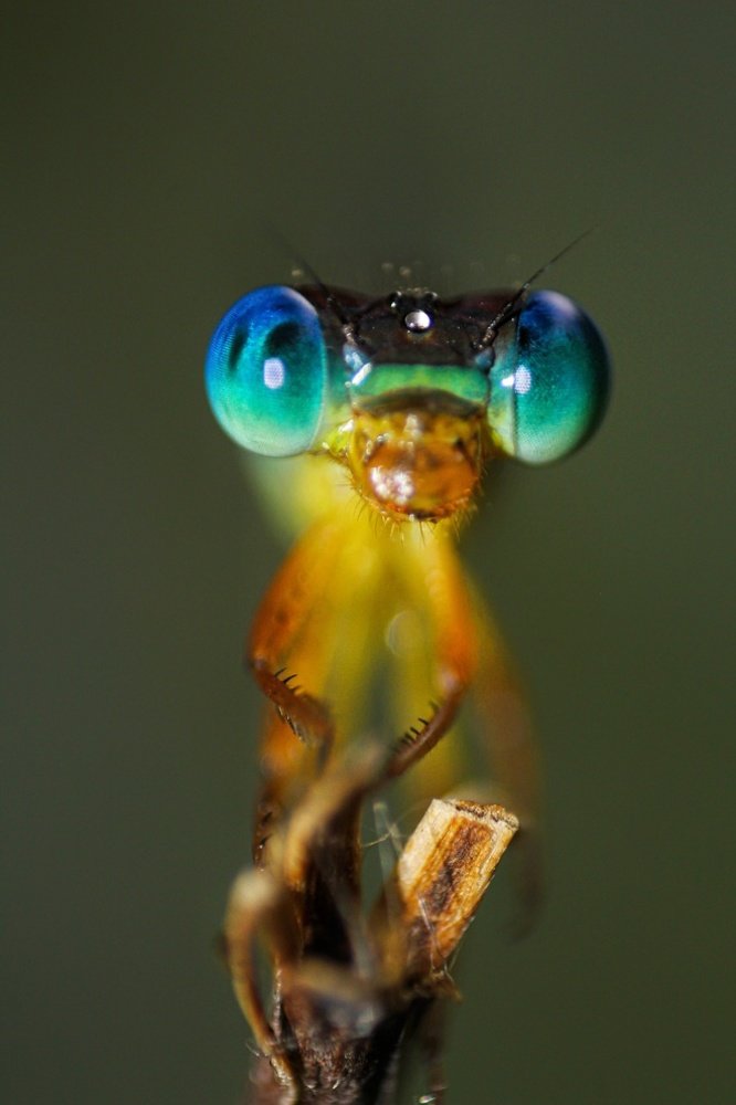 Photograph by Pushpak Kundu