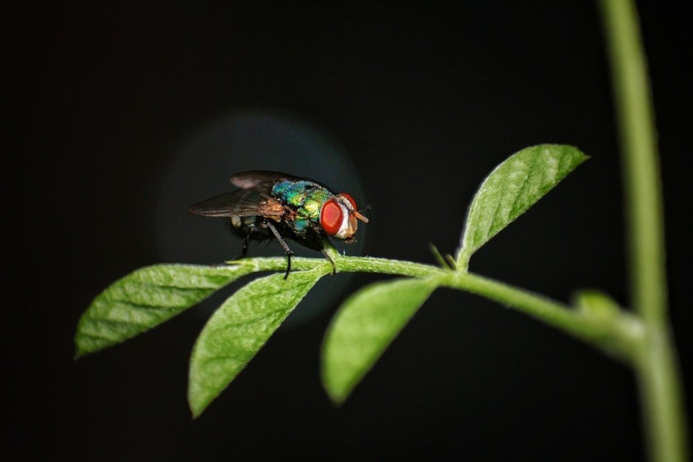 Photograph by Pushpak Kundu