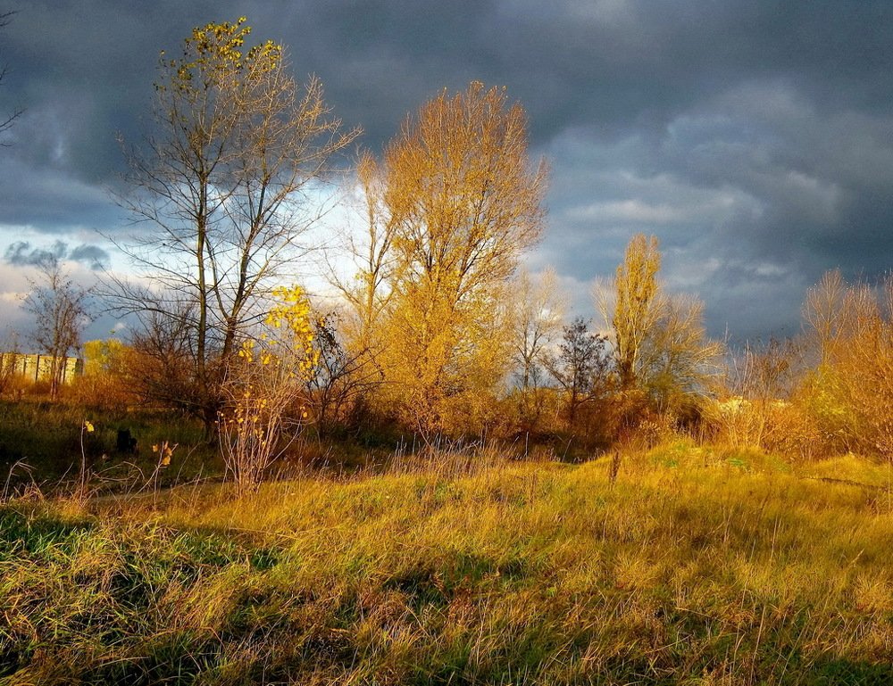 Photograph by Владимир Подкуйко