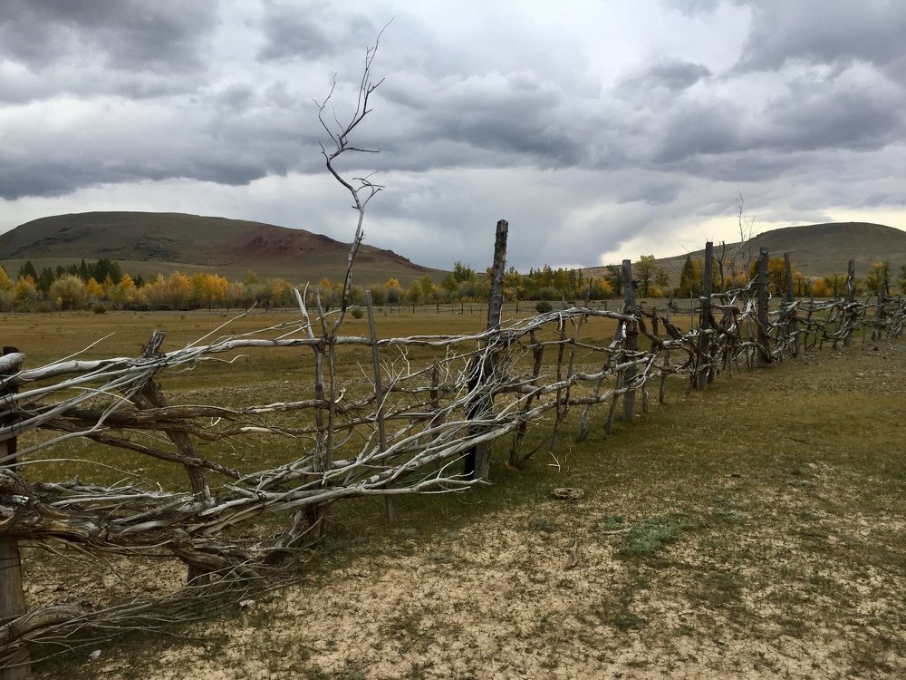 Photograph by Алексей