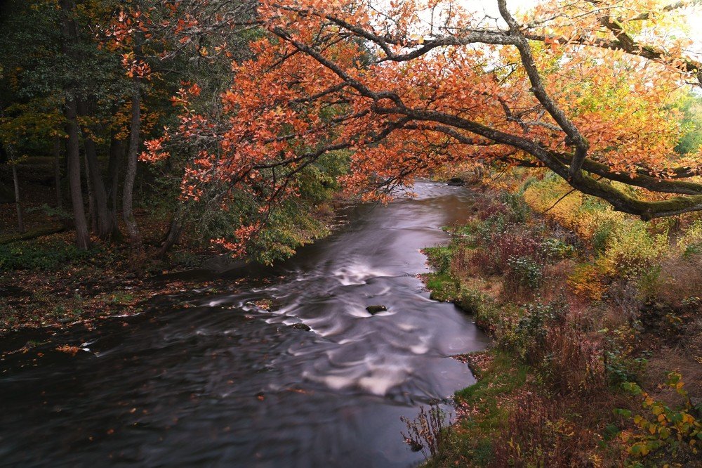 Photograph by Ija Reiman