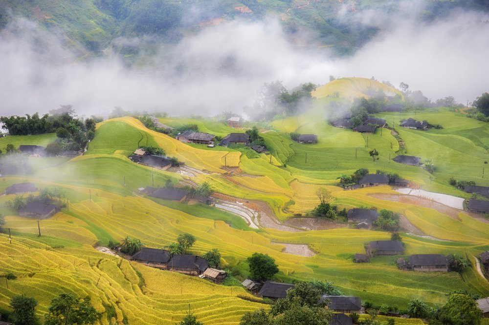 Photograph by Hoàn Nguyễn