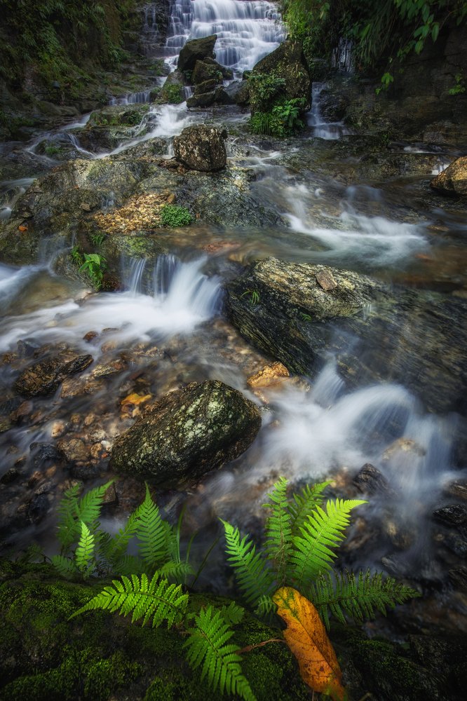 Photograph by Hoàn Nguyễn