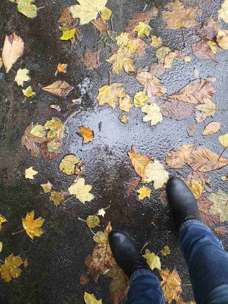 Photograph by Наталья Parovyshnyk