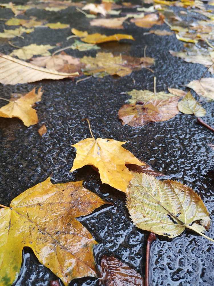 Photograph by Наталья Parovyshnyk