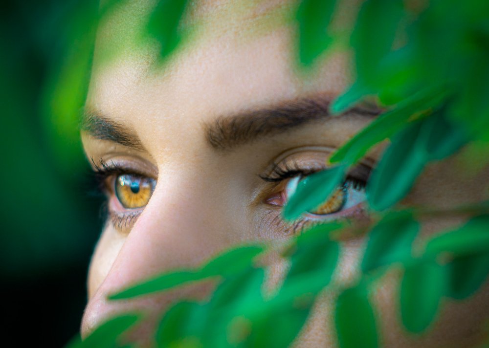 Фотография автора Тимофей Строгий