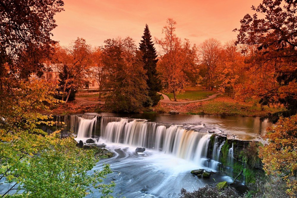 Photograph by Ija Reiman