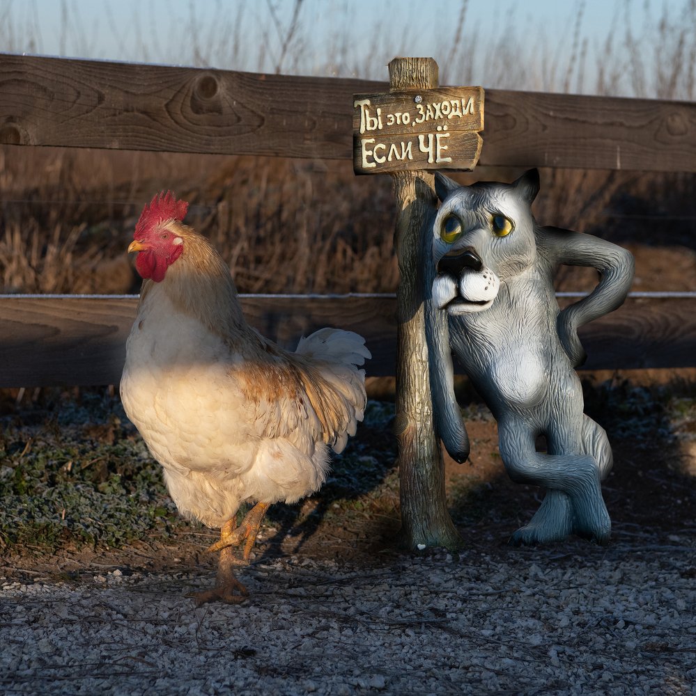 На ферме у Острова