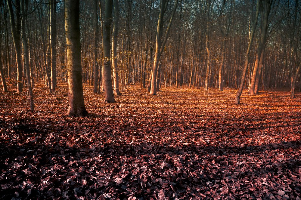 Photograph by Agnieszka Szadowiak