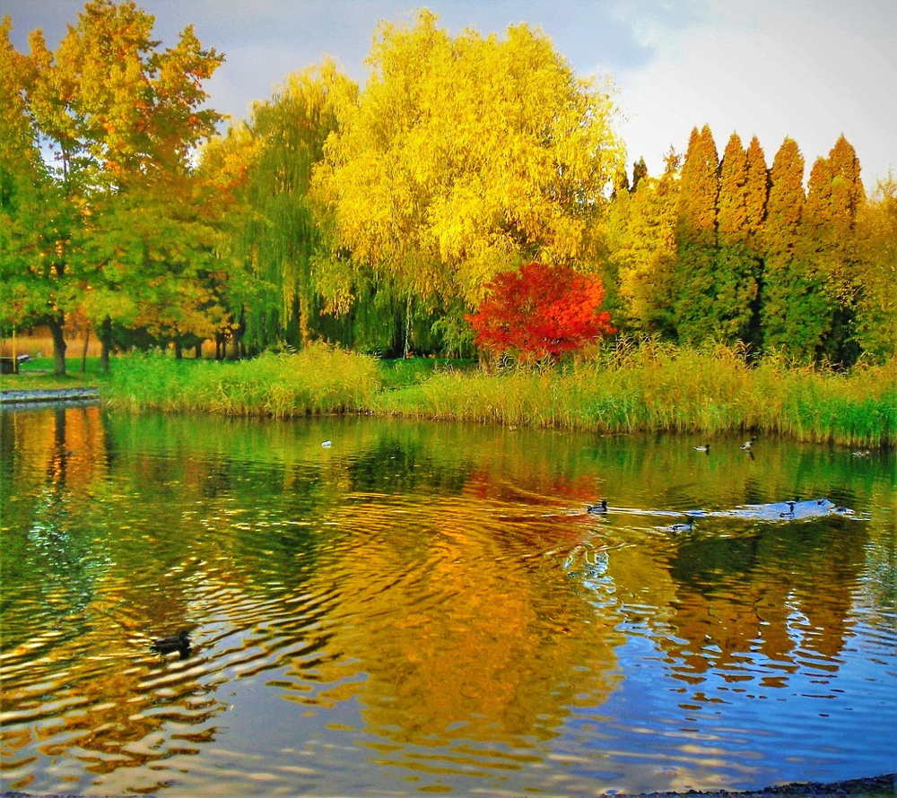 Photograph by Владимир Подкуйко