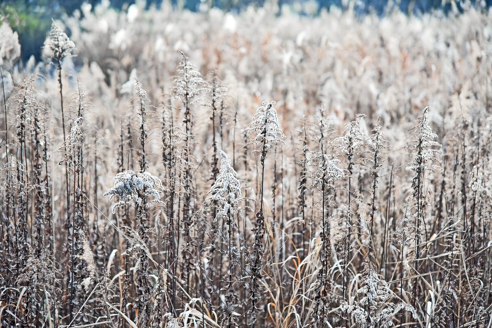 Photograph by mypure heart