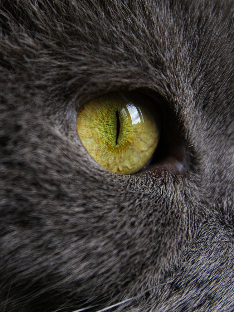 Photograph by Татьяна Решетова