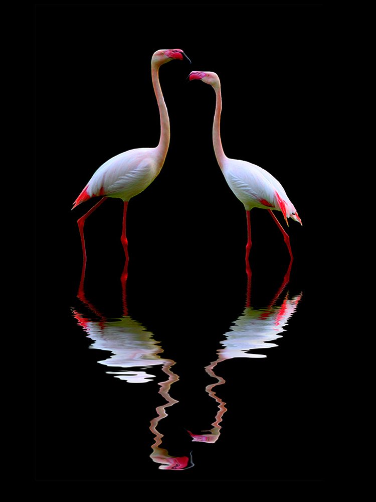 Photograph by Siamak Sabet