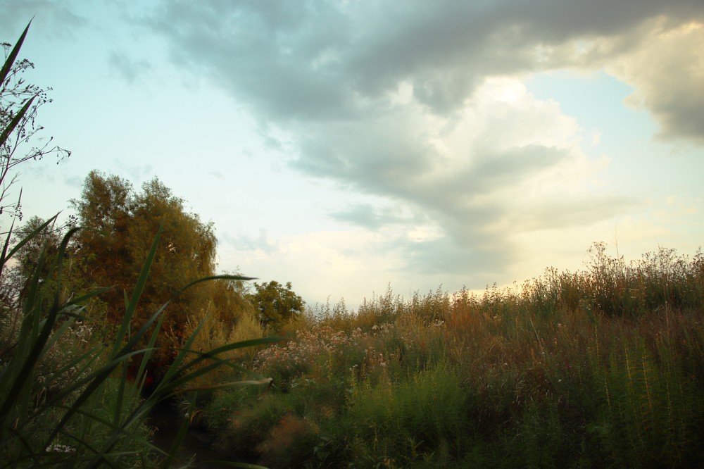 Photograph by Nicolae Dudnicenco