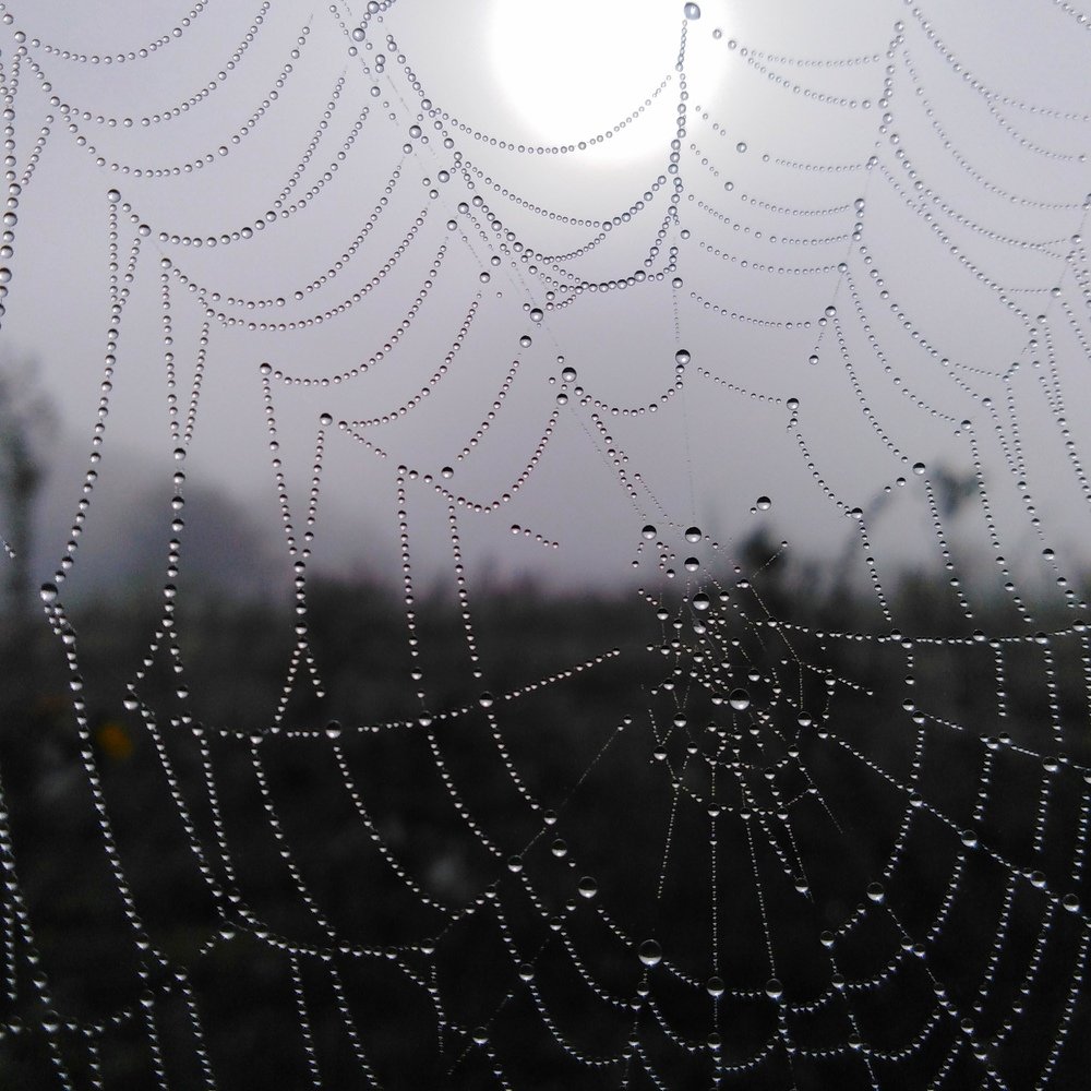 Photograph by Александр Фомченков