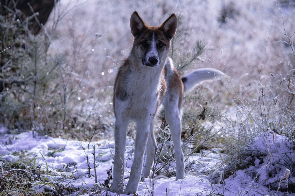 Photograph by Елена Федорова