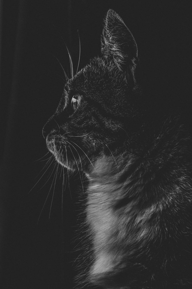 Photograph by Olga Bakke