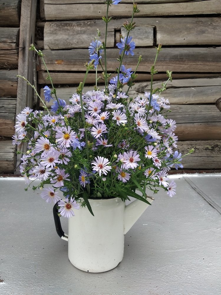 Photograph by Станислав Васильев