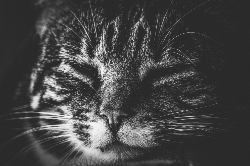 Photograph by Olga Bakke