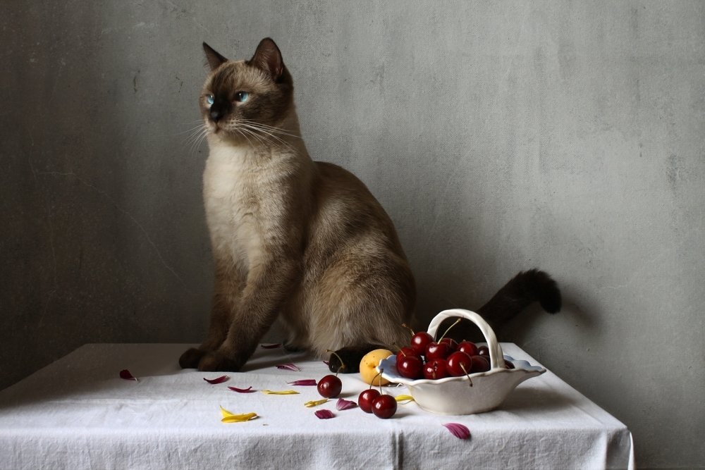 Photograph by Курочкина Диана