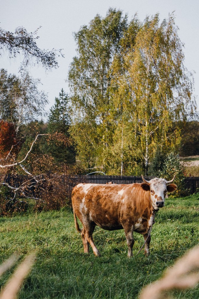 Photograph by Сергей