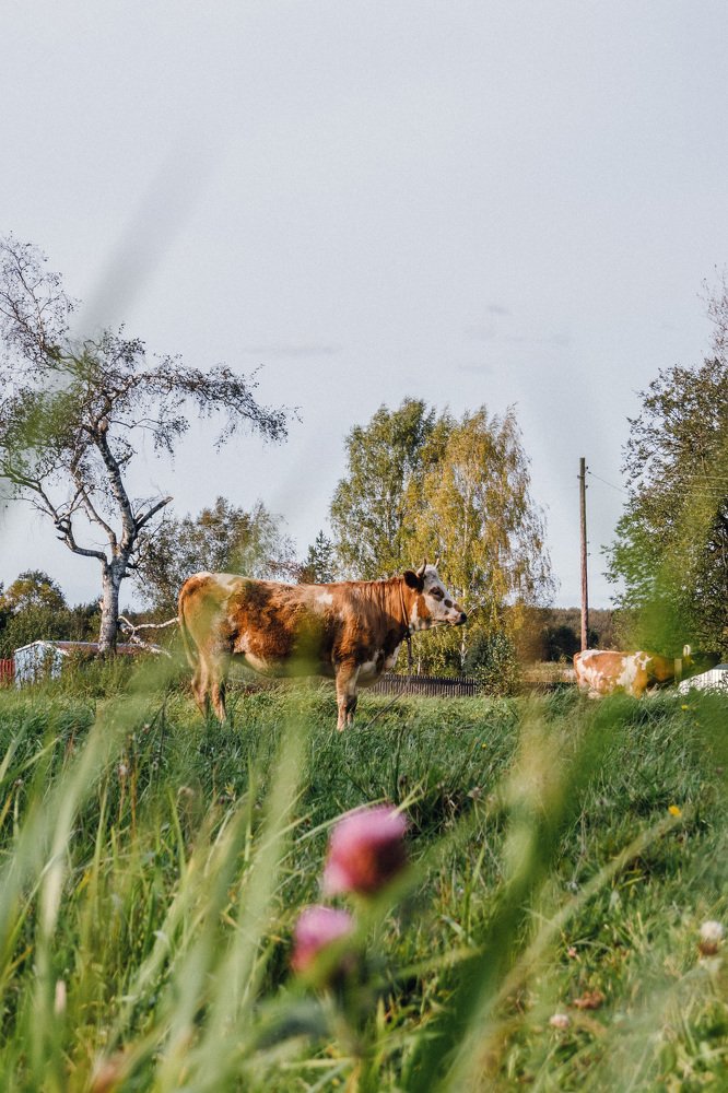 Photograph by Сергей